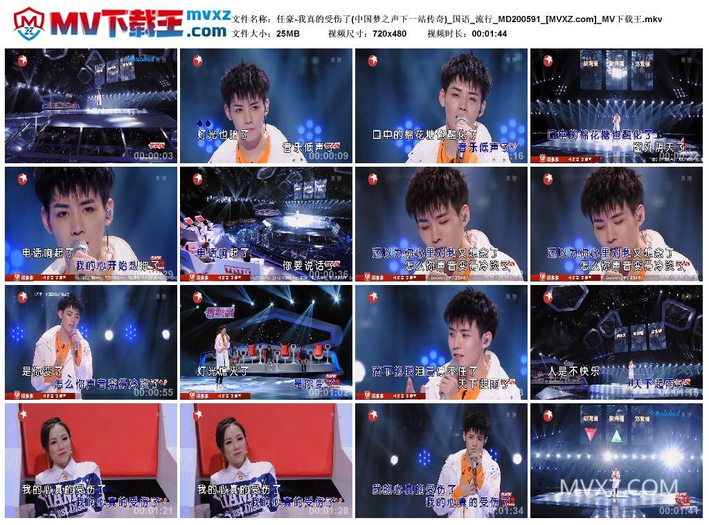 任豪-我真的受伤了(中国梦之声下一站传奇)_国语_流行_MD200591